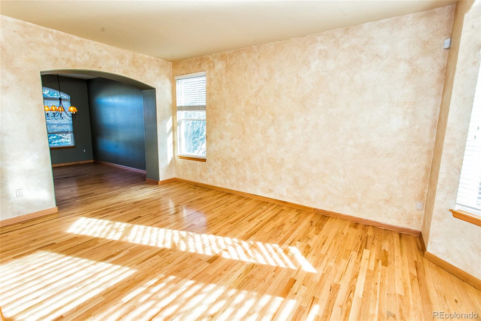 6671 Tiger Tooth Littleton, CO 80124 - Photo 11 of 39