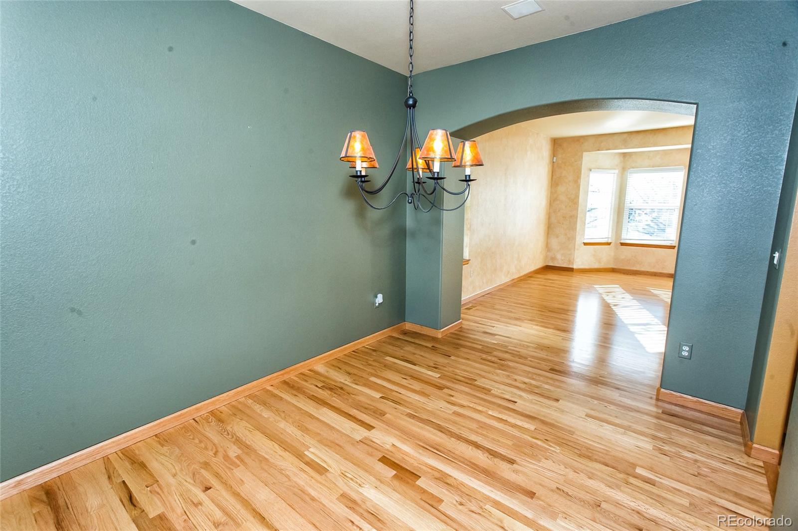 6671 Tiger Tooth Littleton, CO 80124 - Photo 19 of 39