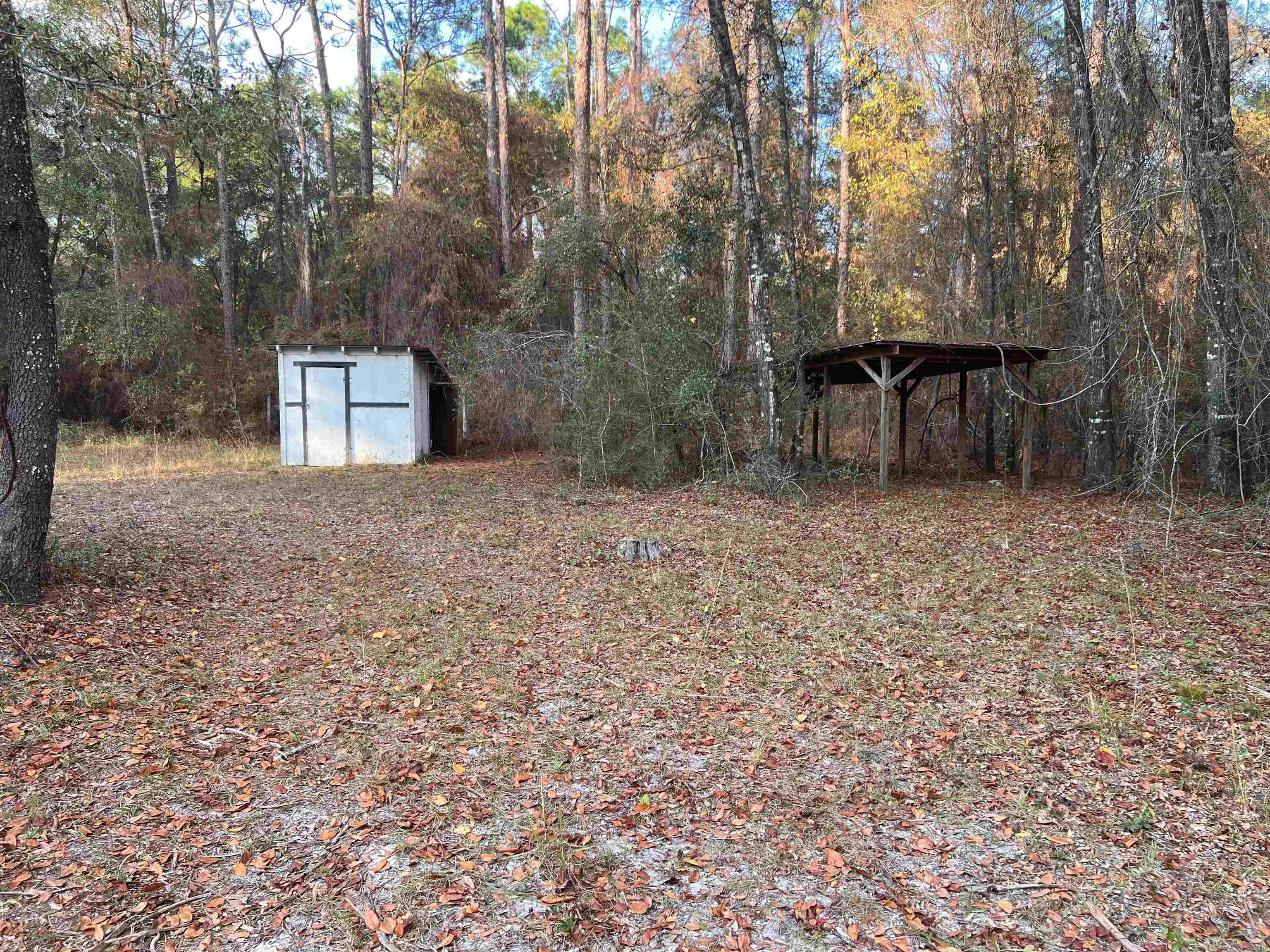 520 New Light Church Road Crawfordville, FL 32327 - Photo 13 of 18