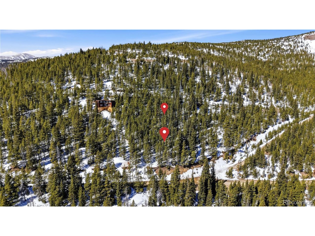 468 Hillside Road Idaho Springs, CO 80452 - Photo 12 of 12 a black and white photo of a tree