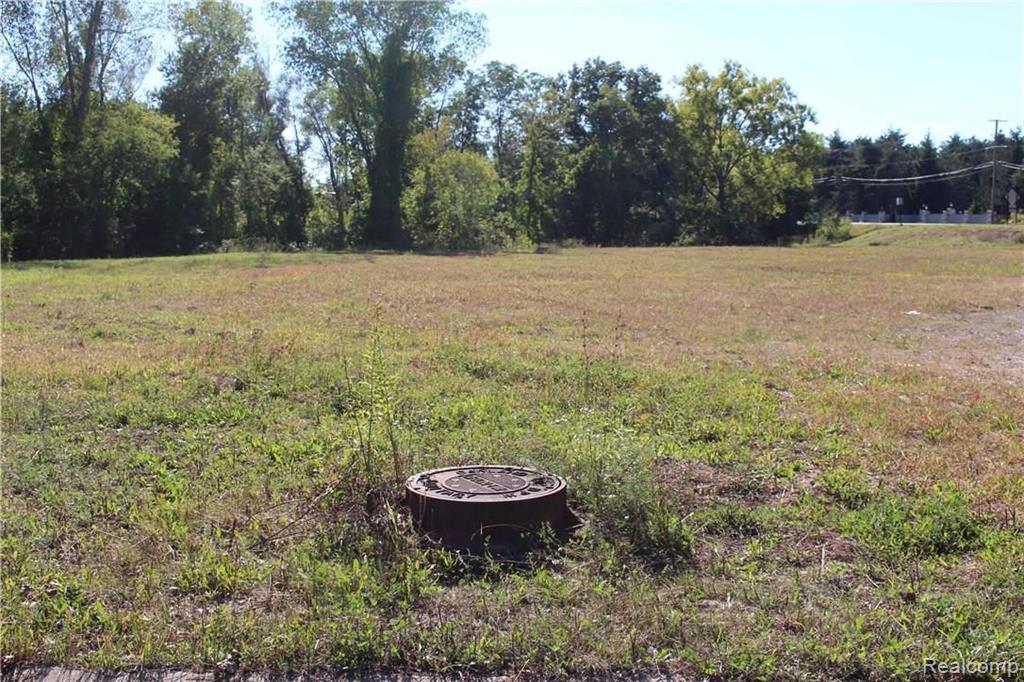 Vacant Fernhurst Road Lake Orion, MI 48362 - Photo 5 of 6 Gallery Image 5