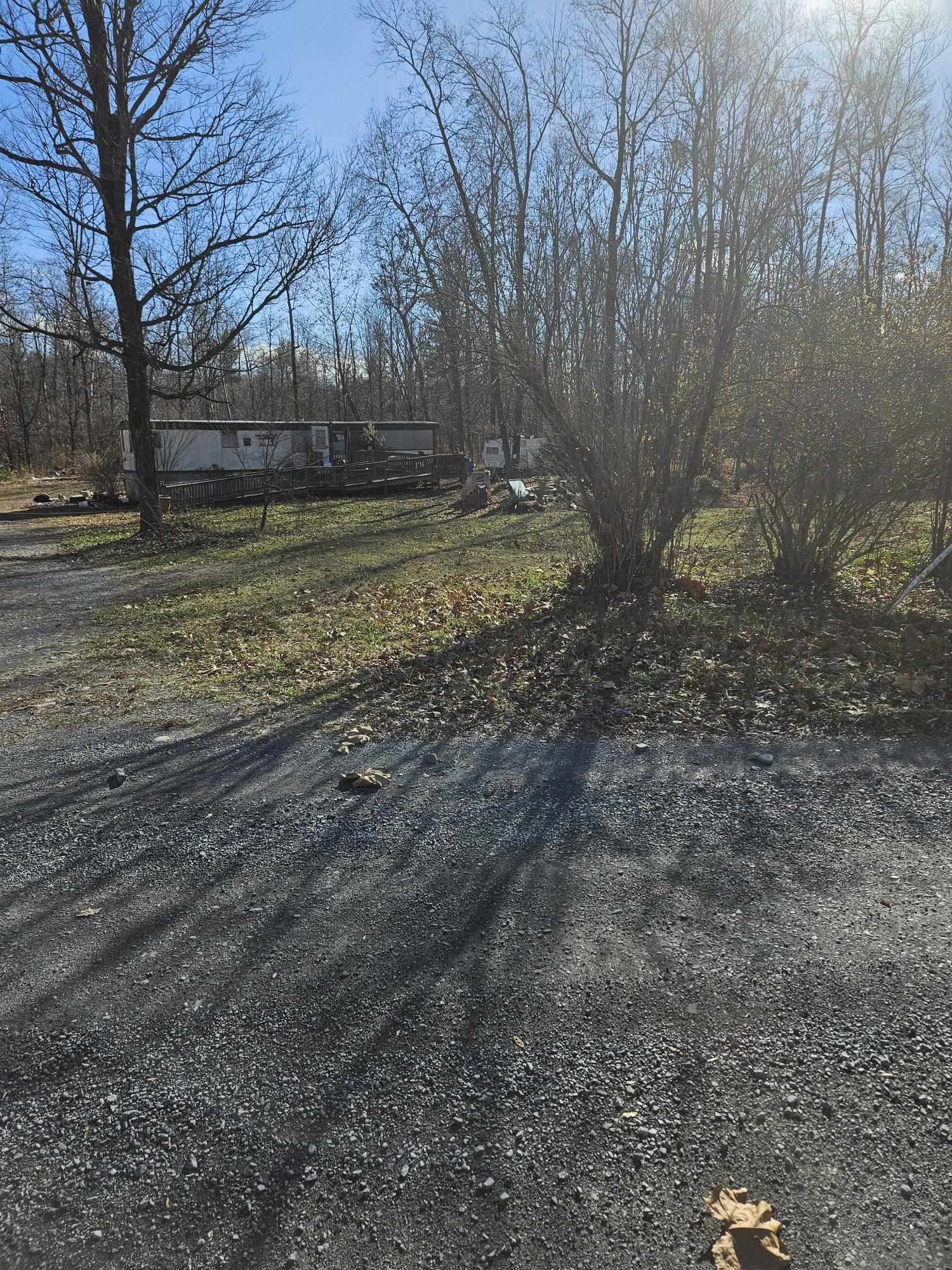 1343 George Walton Road Mount Solon, VA 22843 - Photo 3 of 7 a view of a backyard with large trees
