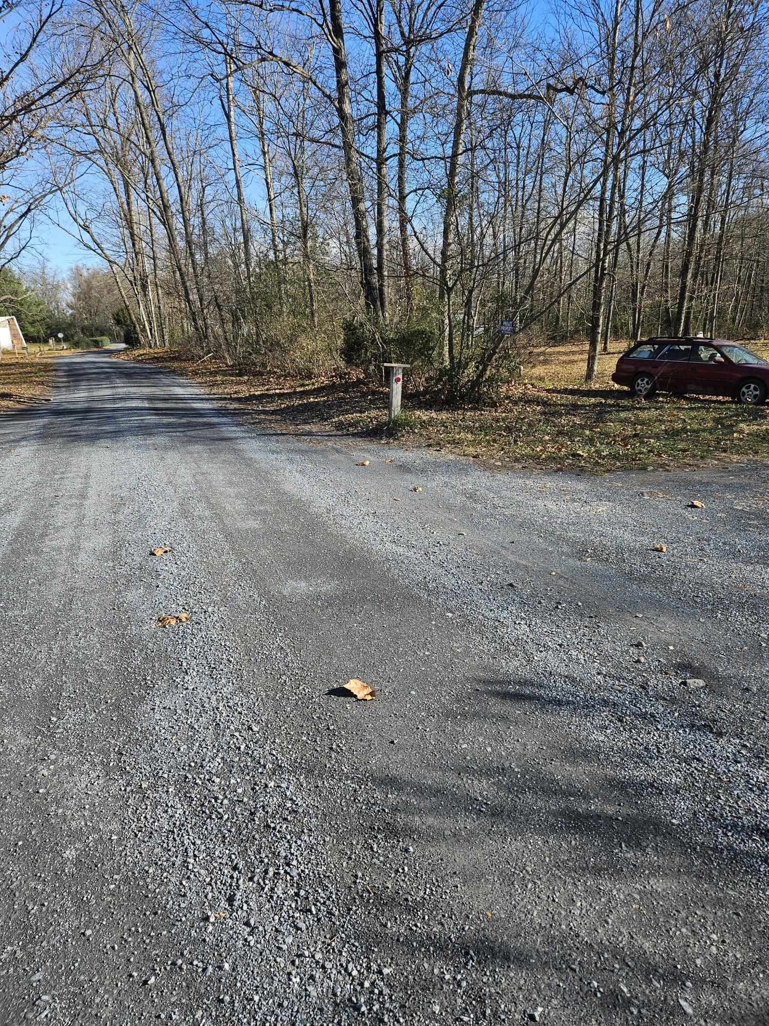 1343 George Walton Road Mount Solon, VA 22843 - Photo 5 of 7 a view of dirt yard with large trees