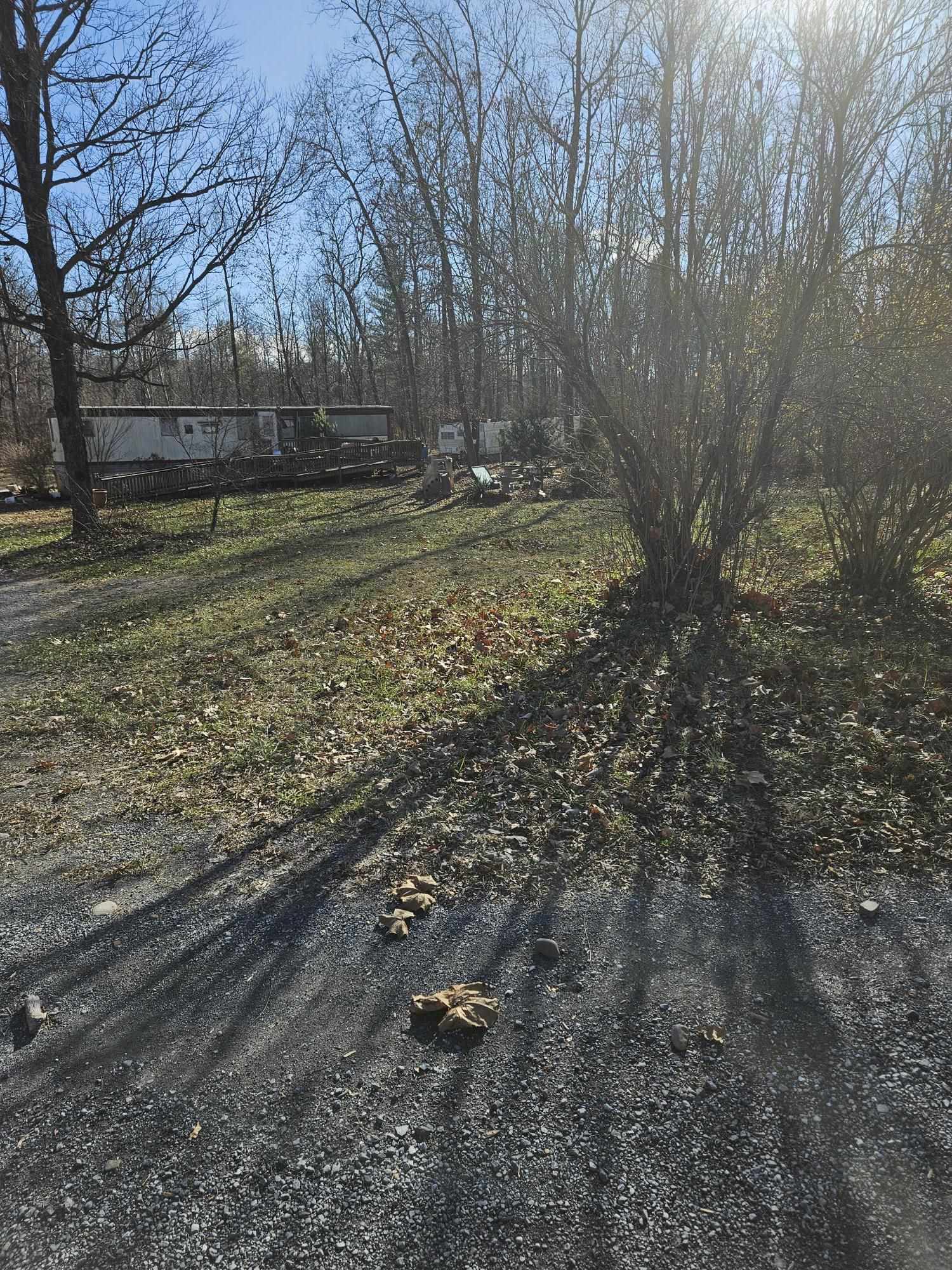 1343 George Walton Road Mount Solon, VA 22843 - Photo 6 of 7 a view of a yard with large trees