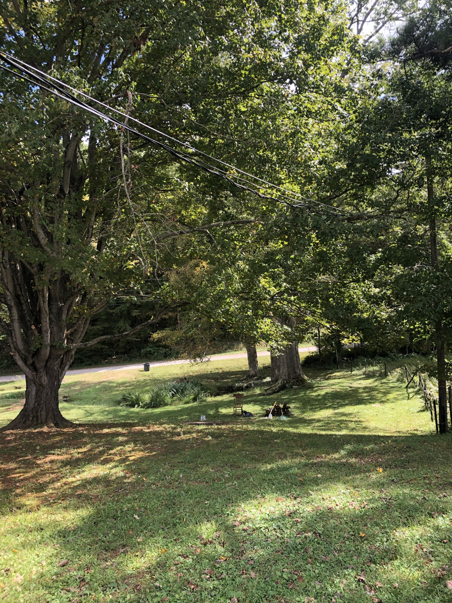 2094 Ross Branch Road Erin, TN 37061 - Photo 8 of 24 Gallery Image 8