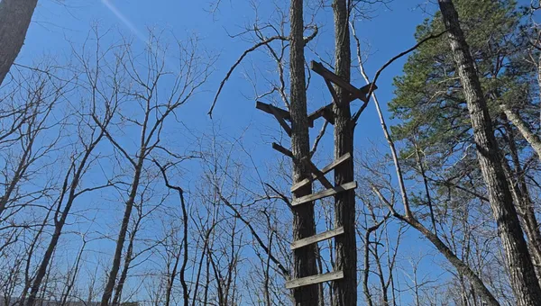 $124,950 | 0 Hall Road, Catawba, VA 24070