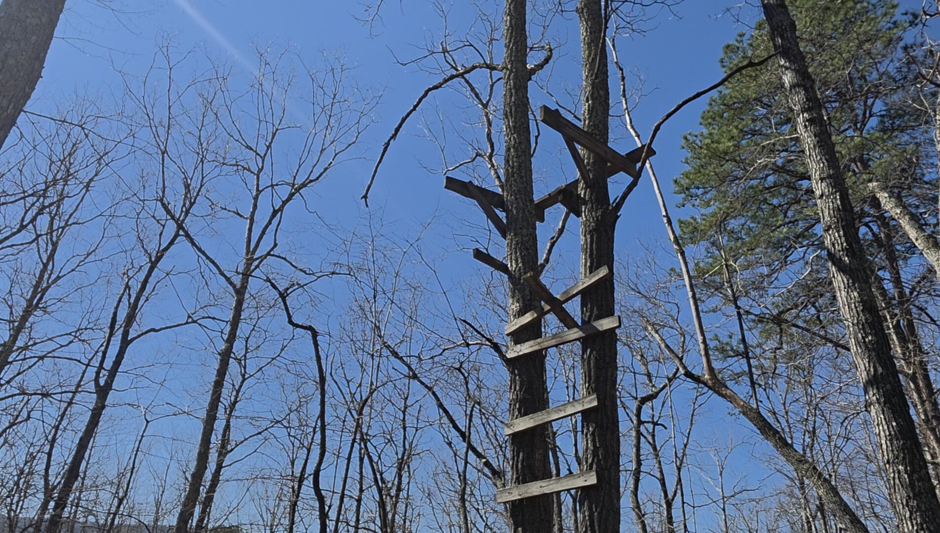 0 Hall Road Catawba, VA 24070 - Photo 2 of 5 Screenshot_20260401_165635_Gallery