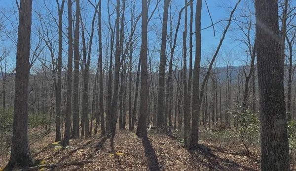 $124,950 | 0 Hall Road, Catawba, VA 24070