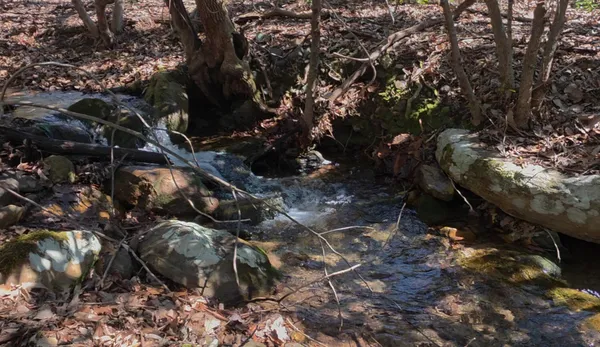 $124,950 | 0 Hall Road, Catawba, VA 24070