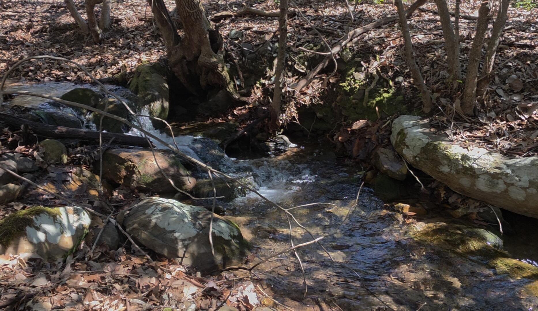 0 Hall Road Catawba, VA 24070 - Photo 4 of 5 Screenshot_20260401_165205_Gallery