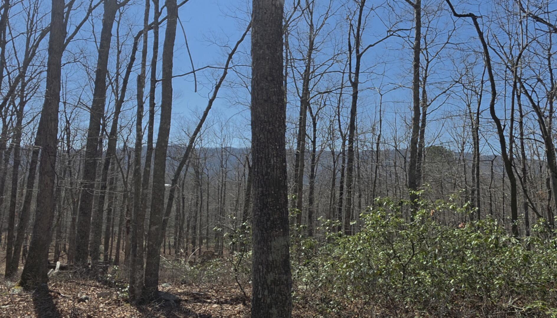 0 Hall Road Catawba, VA 24070 - Photo 5 of 5 Screenshot_20260401_165331_Gallery