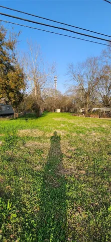 a view of a yard