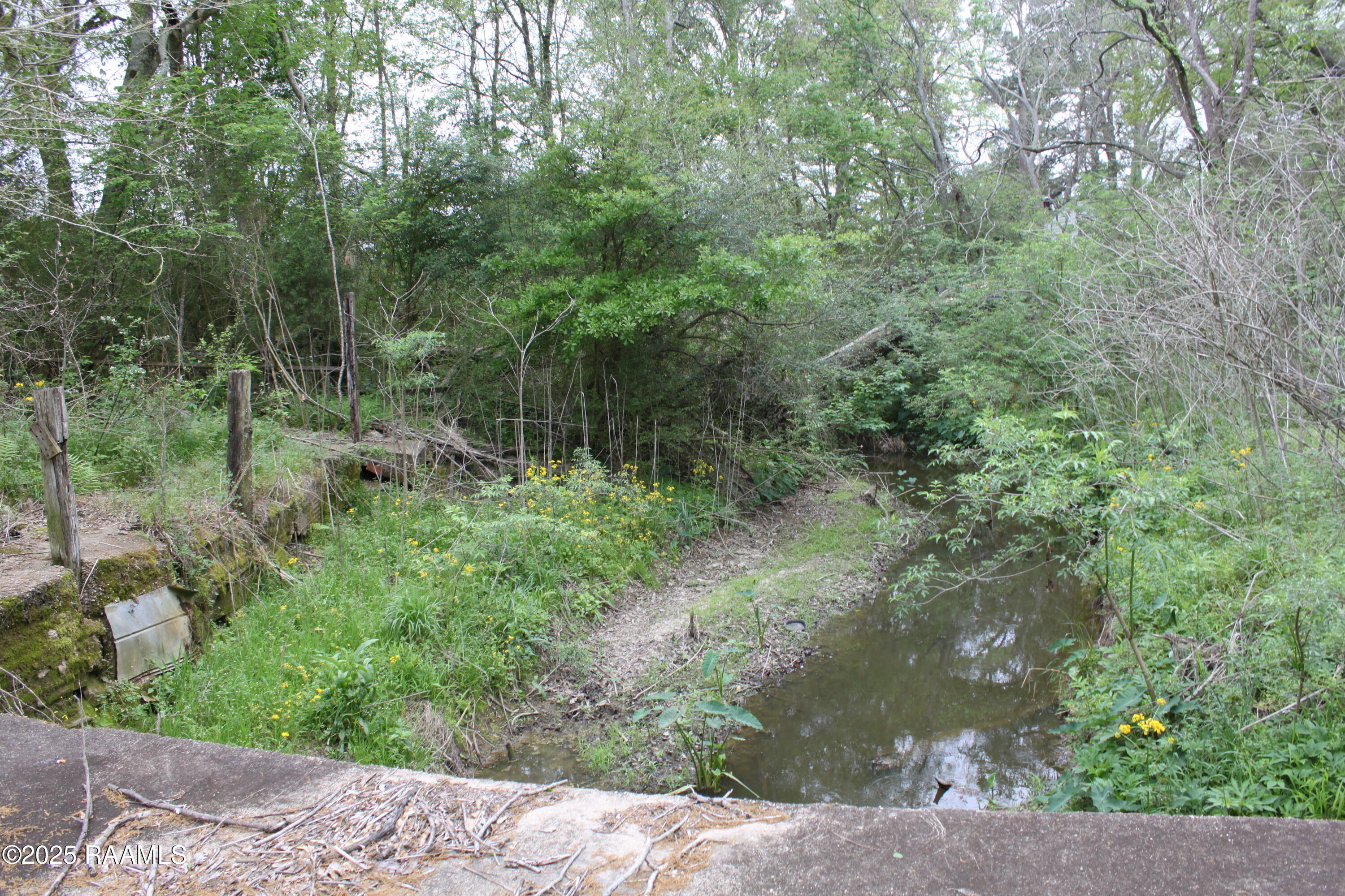 Pershing Highway Sunset, LA 70584 - Photo 7 of 12 IMG_7271