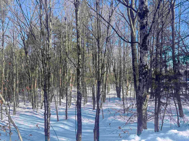 $149,000 | 0 Hendee Way, Quechee, VT 05059