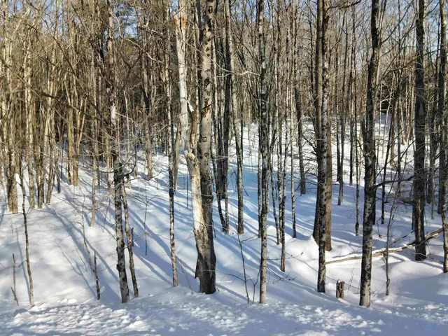 $149,000 | 0 Hendee Way, Quechee, VT 05059