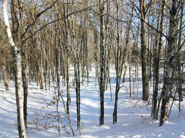 $149,000 | 0 Hendee Way, Quechee, VT 05059