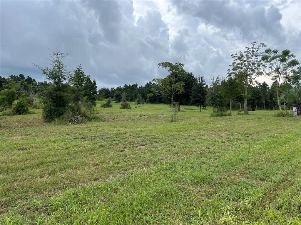 Sandhill Road Winter Garden, FL 34787 - Photo 1 of 1 Gallery Image 1