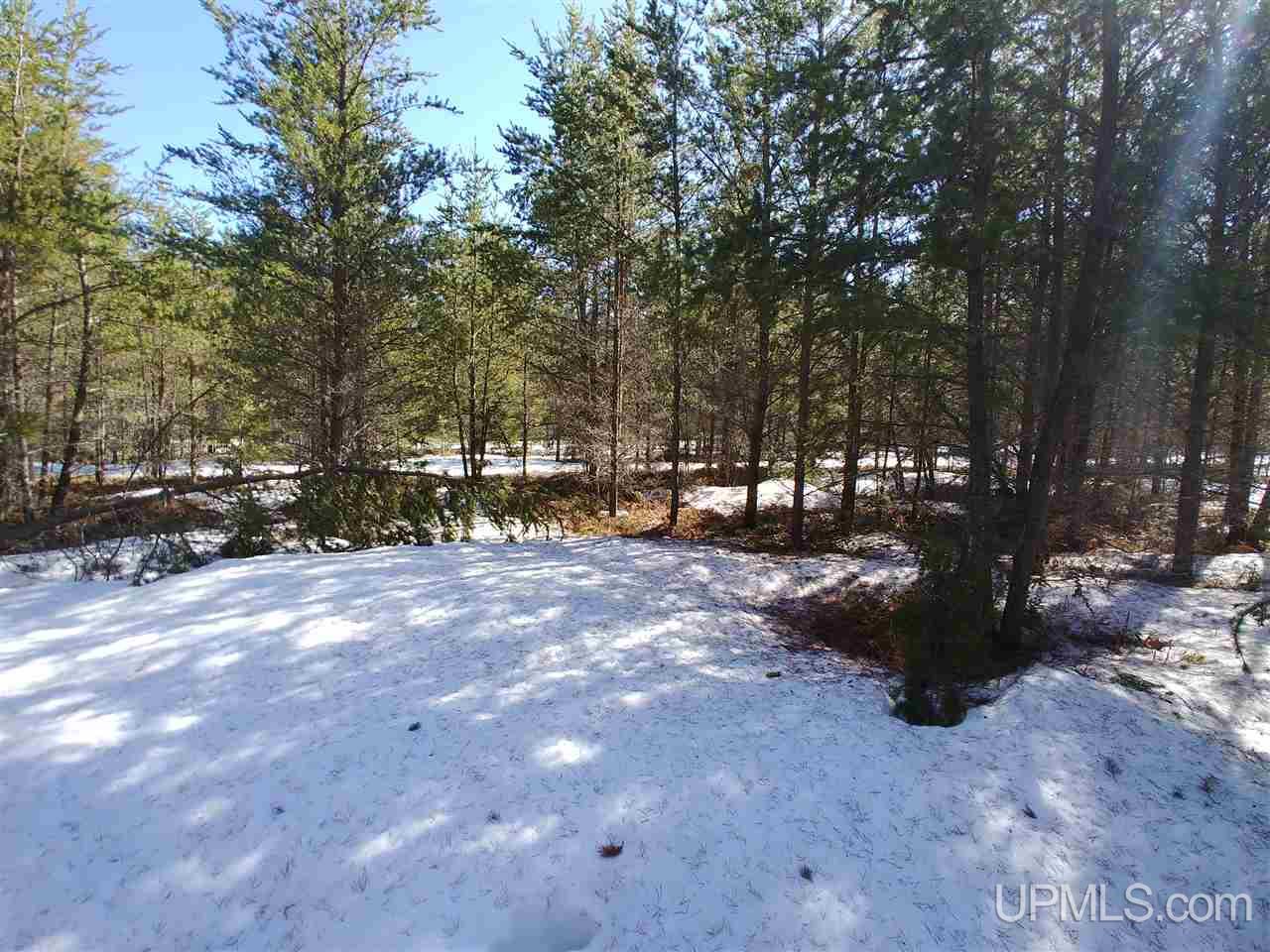 Tbd Tbd Millyard Road Little Lake, MI 49833 - Photo 4 of 8