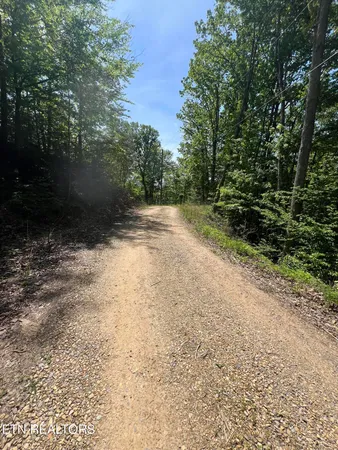 $15,000 | Lot 55 Black Oak / Lot 26 Butternut Place, Sevierville, TN 37876
