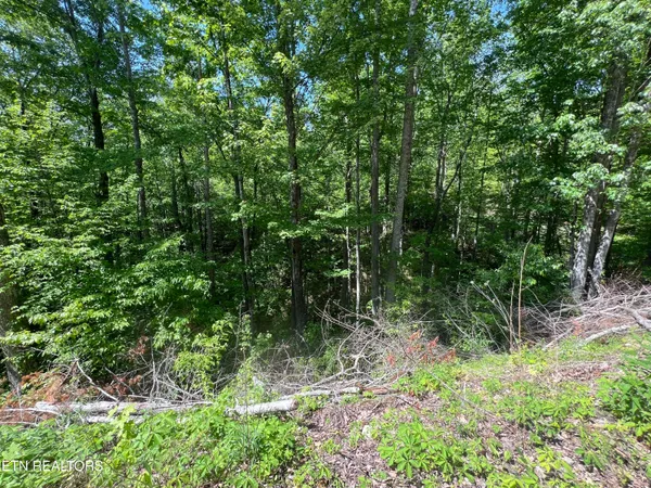 $15,000 | Lot 55 Black Oak / Lot 26 Butternut Place, Sevierville, TN 37876