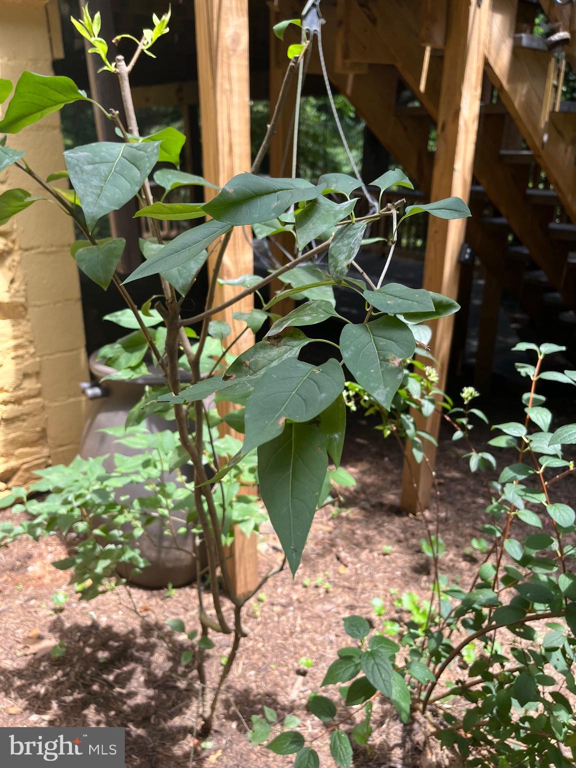 6211 Ridgeview Avenue Baltimore, MD 21206 - Photo 86 of 88