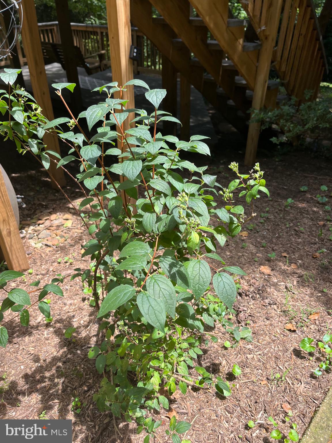 6211 Ridgeview Avenue Baltimore, MD 21206 - Photo 87 of 88