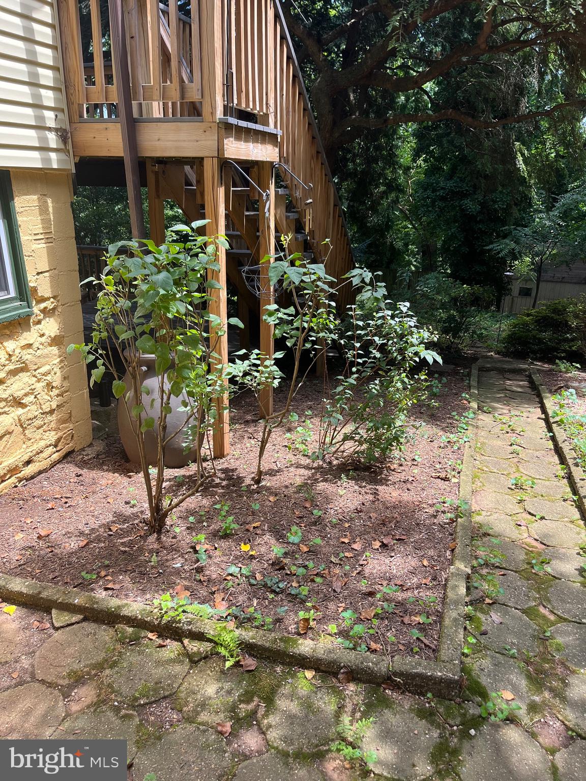 6211 Ridgeview Avenue Baltimore, MD 21206 - Photo 88 of 88 LILAC GARDEN