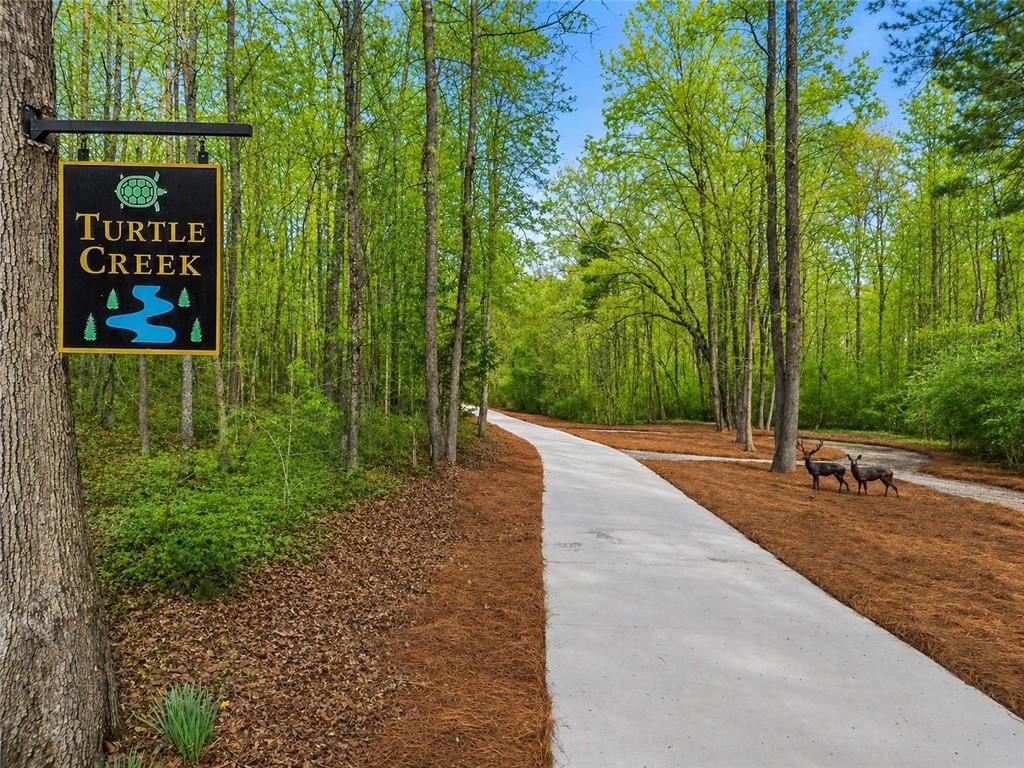 2995 Gum Creek Road Oxford, GA 30054 - Photo 4 of 51