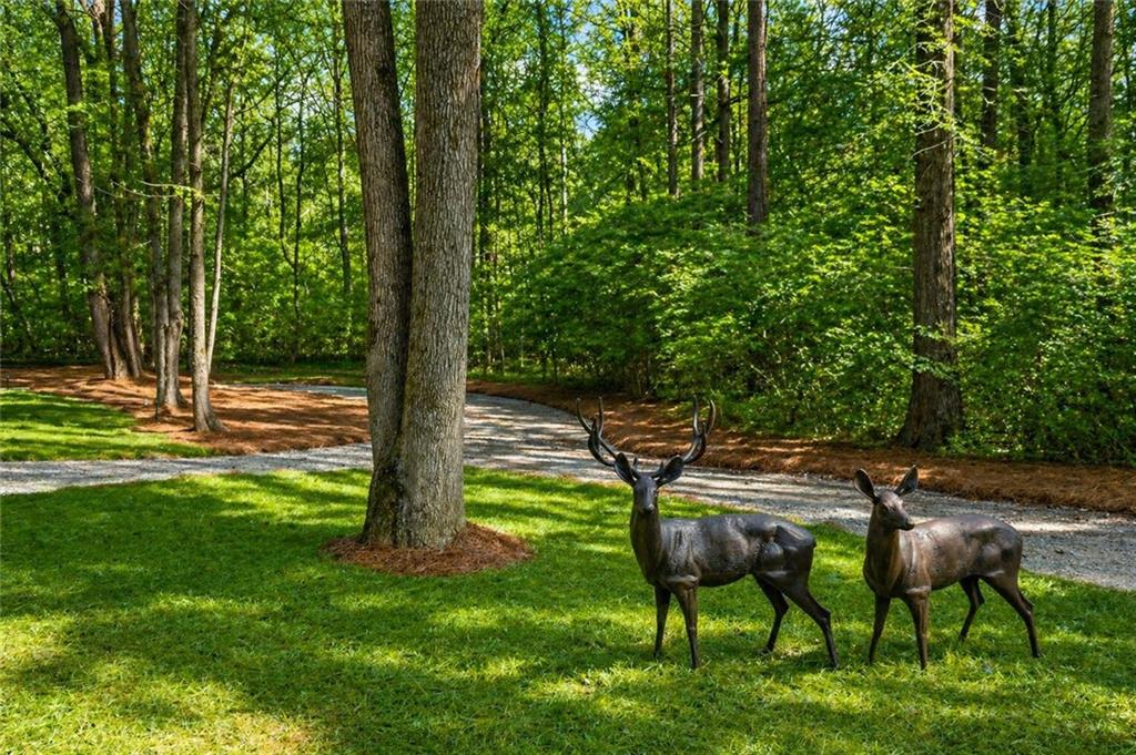 2995 Gum Creek Road Oxford, GA 30054 - Photo 48 of 51
