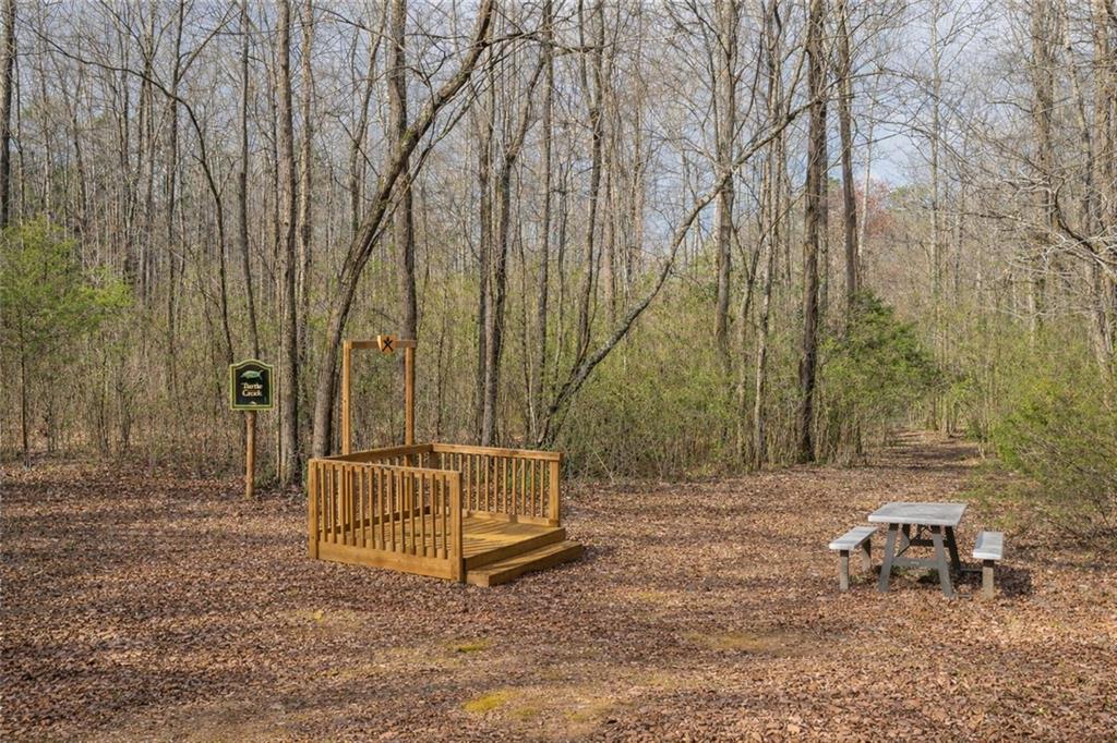2995 Gum Creek Road Oxford, GA 30054 - Photo 48 of 59 a view of backyard with trees
