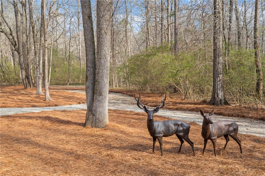 2995 Gum Creek Road Oxford, GA 30054 - Photo 5 of 64