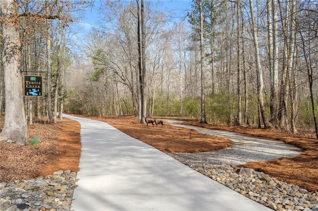 2995 Gum Creek Road Oxford, GA 30054 - Photo 54 of 59 a view of road with trees