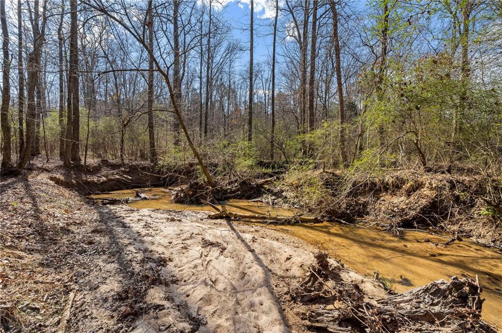 2995 Gum Creek Road Oxford, GA 30054 - Photo 57 of 64