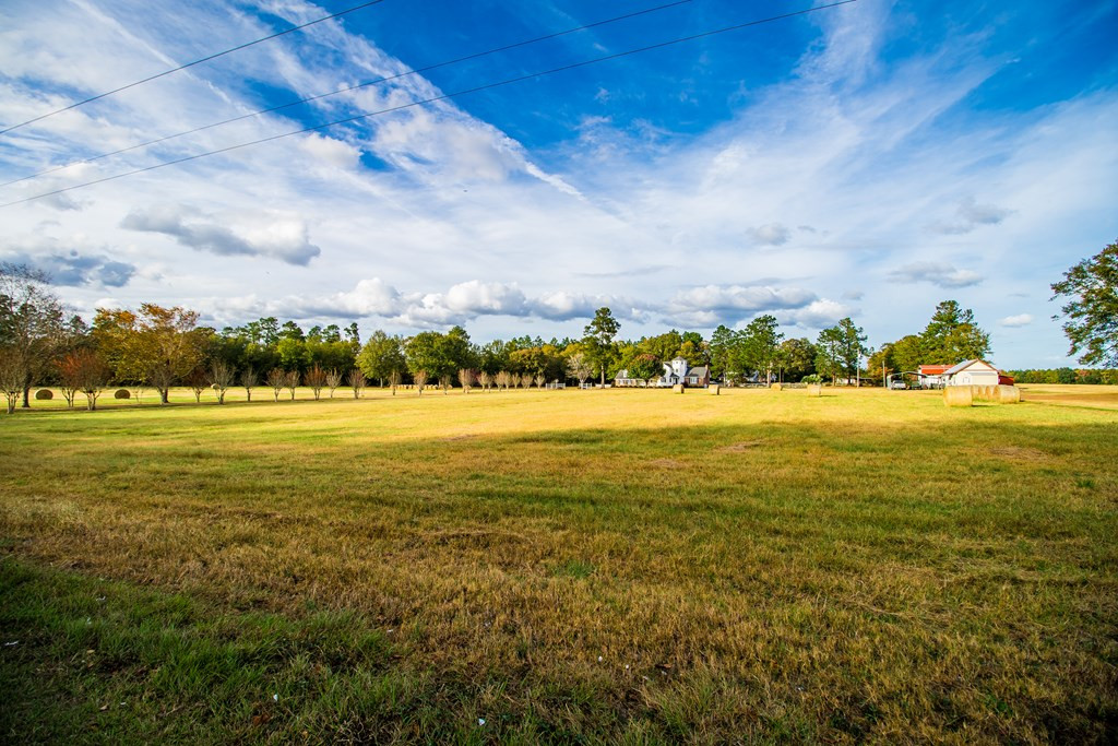161 Christian Road Barnwell, SC 29812 - Photo 9 of 71