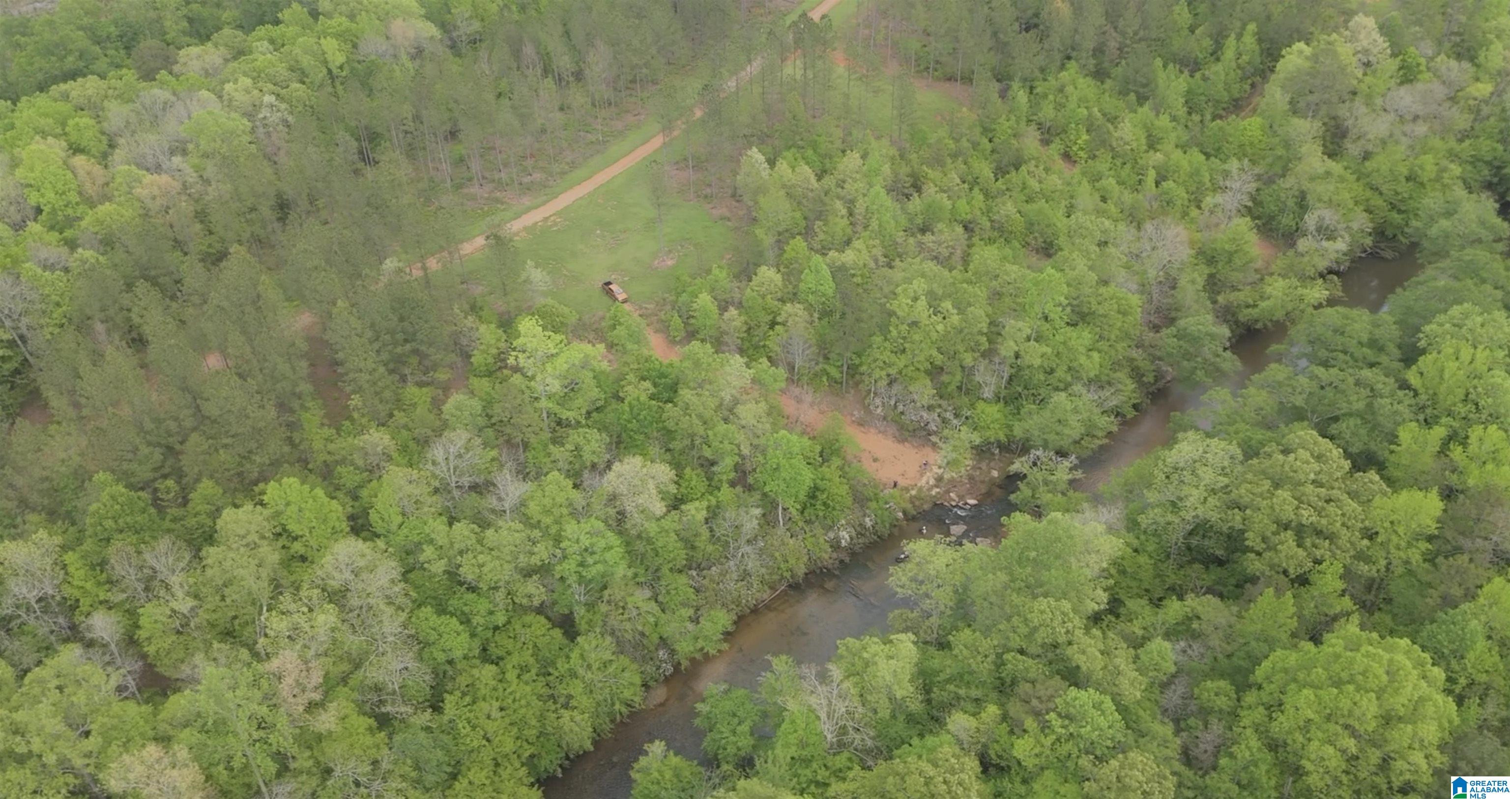 1051 Pate Road, Unit TRACT 5 AND 6 Cragford, AL 36255 - Photo 18 of 34