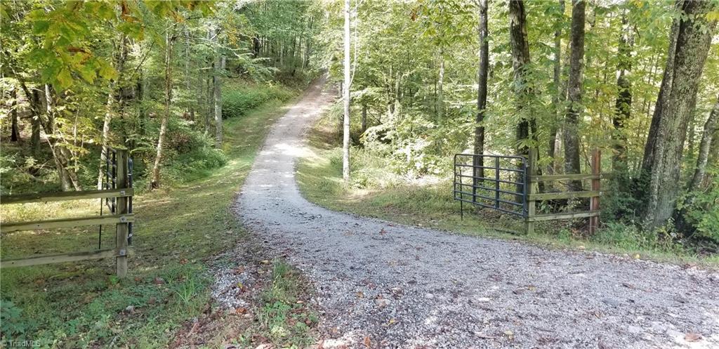 1256 Terry's Mill Road Laurel Fork, VA 24352 - Photo 8 of 50 Gallery Image 8