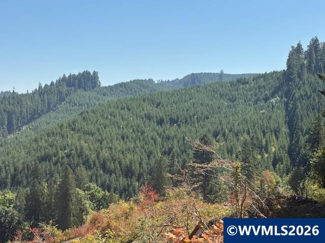 0 Van Horn Road Alsea, OR 97324 - Photo 5 of 16