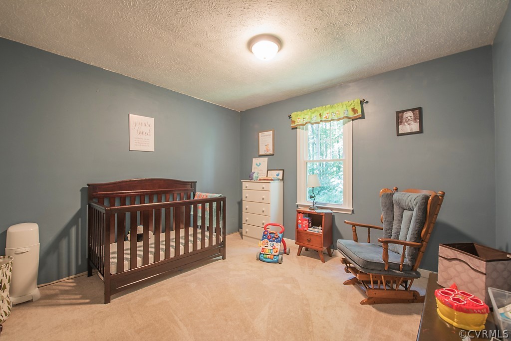 12109 Bundle Road Chesterfield, VA 23838 - Photo 13 of 31