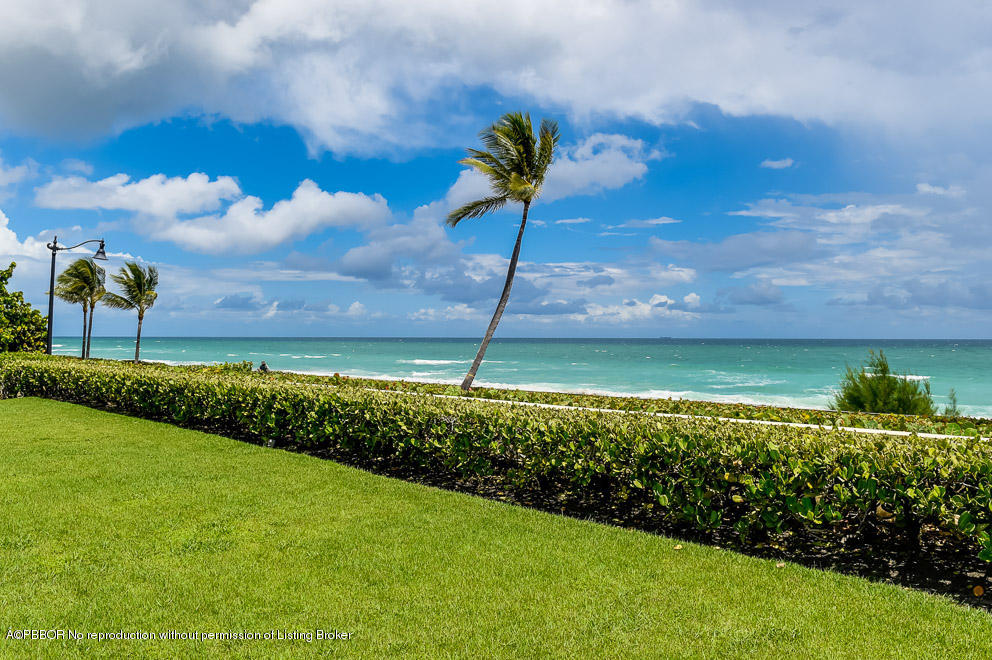 89 Middle Road Palm Beach, FL 33480 - Photo 4 of 23 a view of a garden with a building in the background