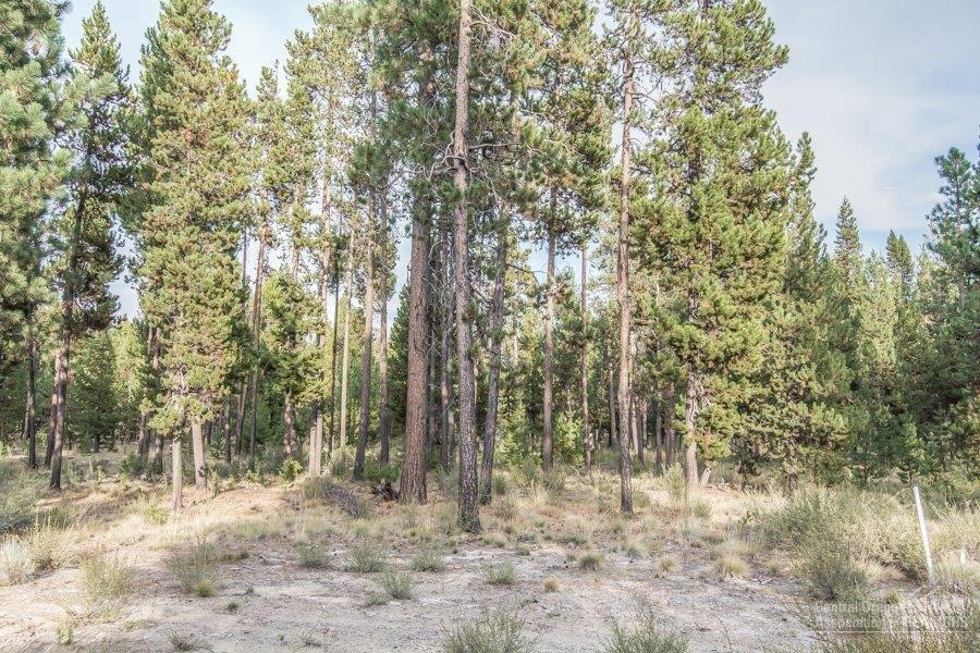 56456 Sunstone Loop Bend, OR 97707 - Photo 6 of 15 Additional Photo