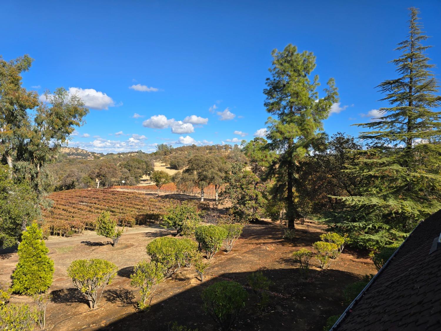 20540 Shenandoah School Road Plymouth, CA 95669 - Photo 13 of 17