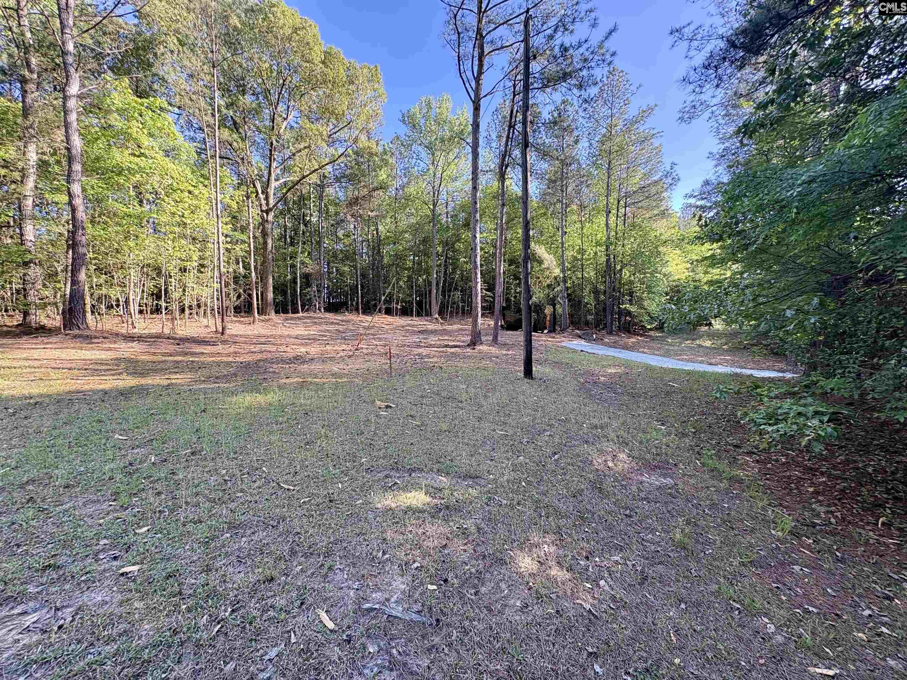 310 Douglas Road Pomaria, SC 29126 - Photo 2 of 4