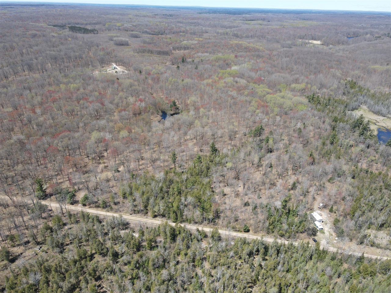 11401 Little George Lake Road Gladwin, MI 48624 - Photo 11 of 72