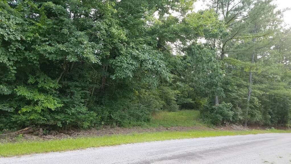 0 Herbert Neal Road Rutherford, TN 38369 - Photo 1 of 1 Photo 1