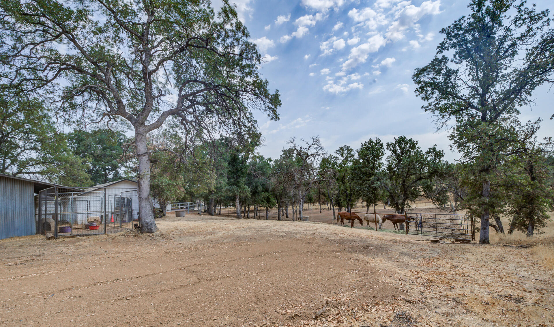 3898 Rancho Estates Road Cottonwood, CA 96022 - Photo 33 of 33 RanchoEstates-62