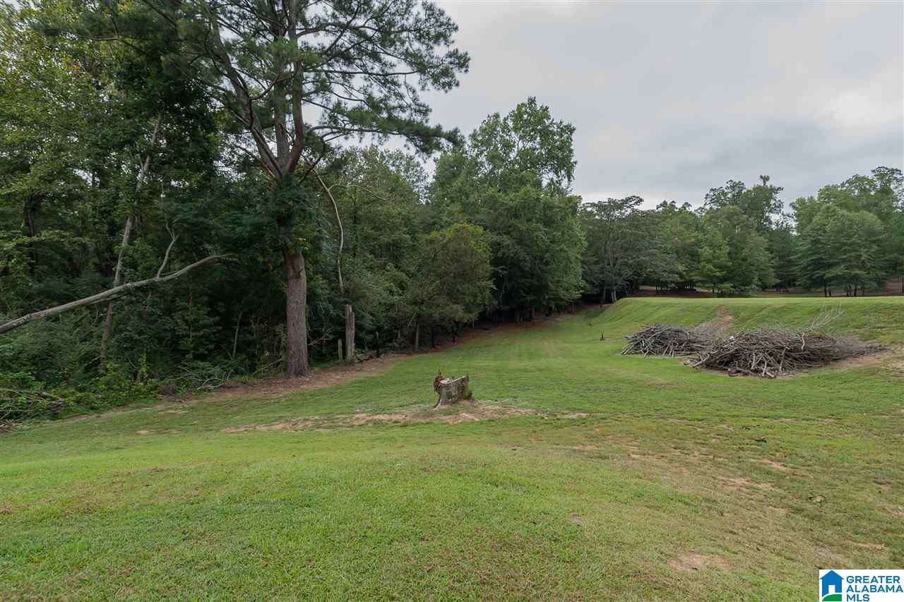 9465 Marsh Mountain Road Pinson, AL 35126 - Photo 38 of 38