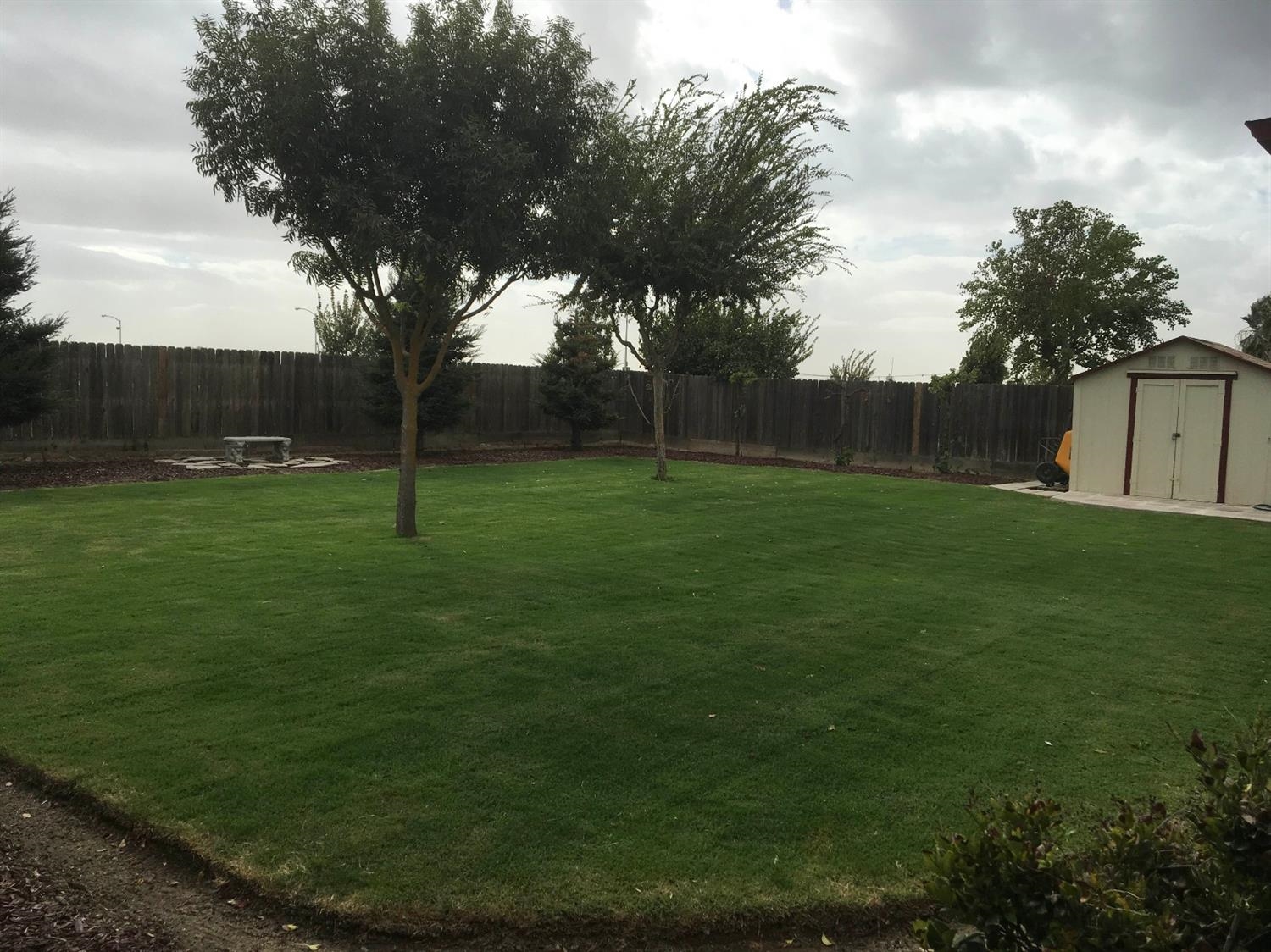 979 Maple Avenue Fowler, CA 93625 - Photo 3 of 10 a view of field with tall trees