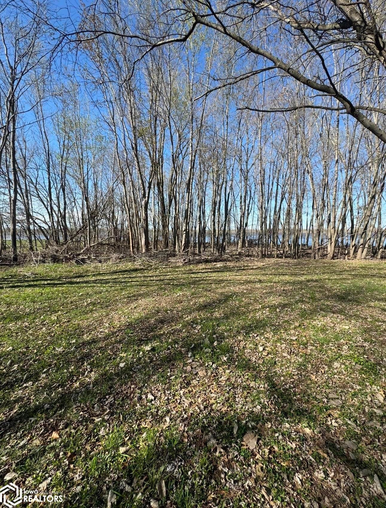 250 Section Line Road Dallas City, IL 62330 - Photo 42 of 49 Gallery Image 42