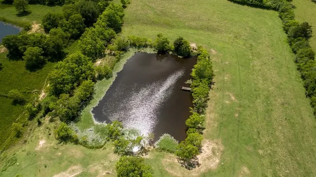 $2,699 | 21547 Binford Road, Waller, TX 77484