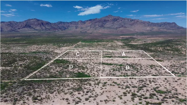 $13,900 | 9.19-ac West Hannah Lane, Unit C, San Simon, AZ 85632